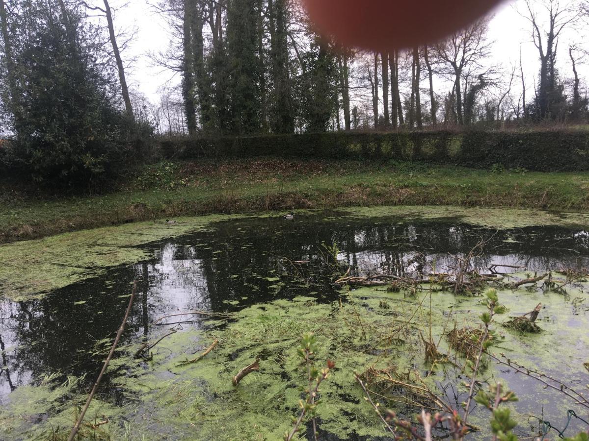 Le Colombier De Royaumont Villa Saint-Arnoult  Kültér fotó